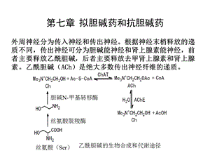 拟胆碱药和抗胆碱药ppt课件.ppt