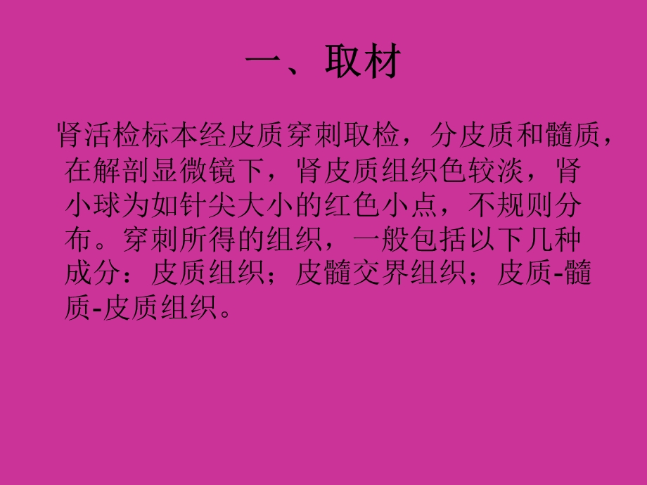 肾穿活检组织标本课件.ppt_第2页