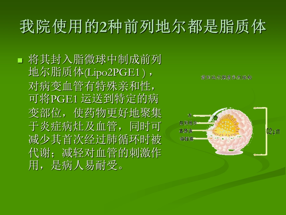 前列地尔使用中的注意事项_课件.ppt_第3页