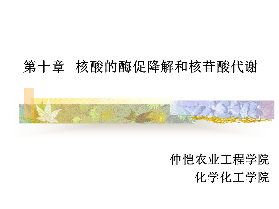 第十章核酸的酶促降解和核苷酸代谢ppt课件.ppt_第1页