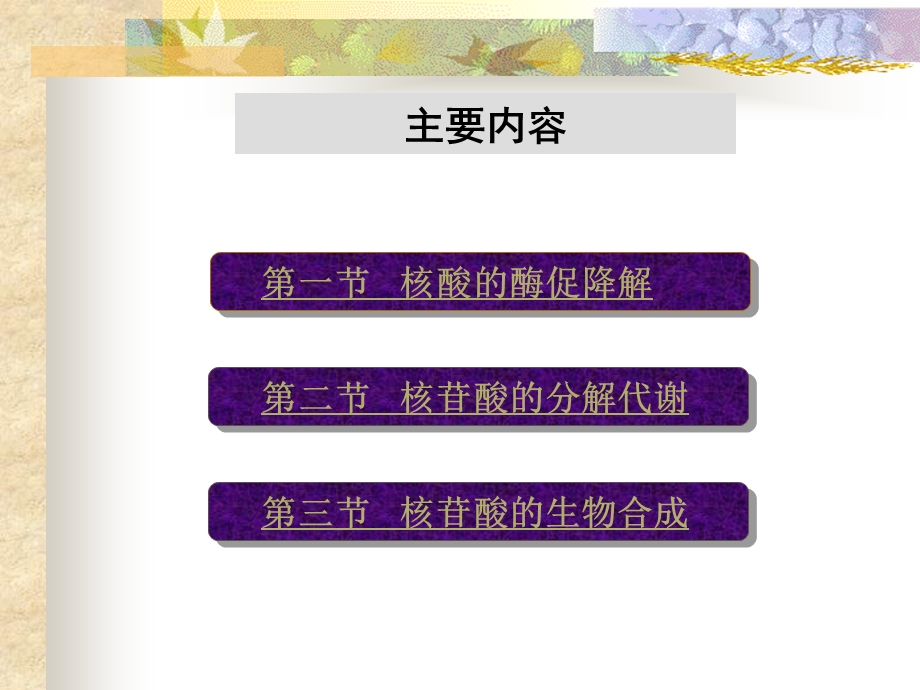 第十章核酸的酶促降解和核苷酸代谢ppt课件.ppt_第2页