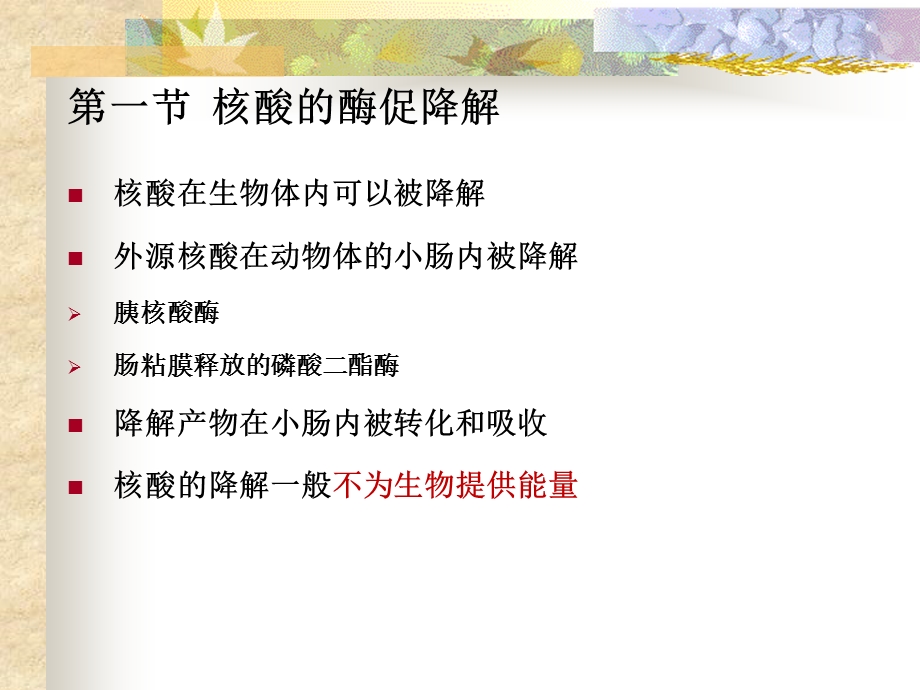 第十章核酸的酶促降解和核苷酸代谢ppt课件.ppt_第3页