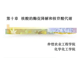 第十章核酸的酶促降解和核苷酸代谢ppt课件.ppt