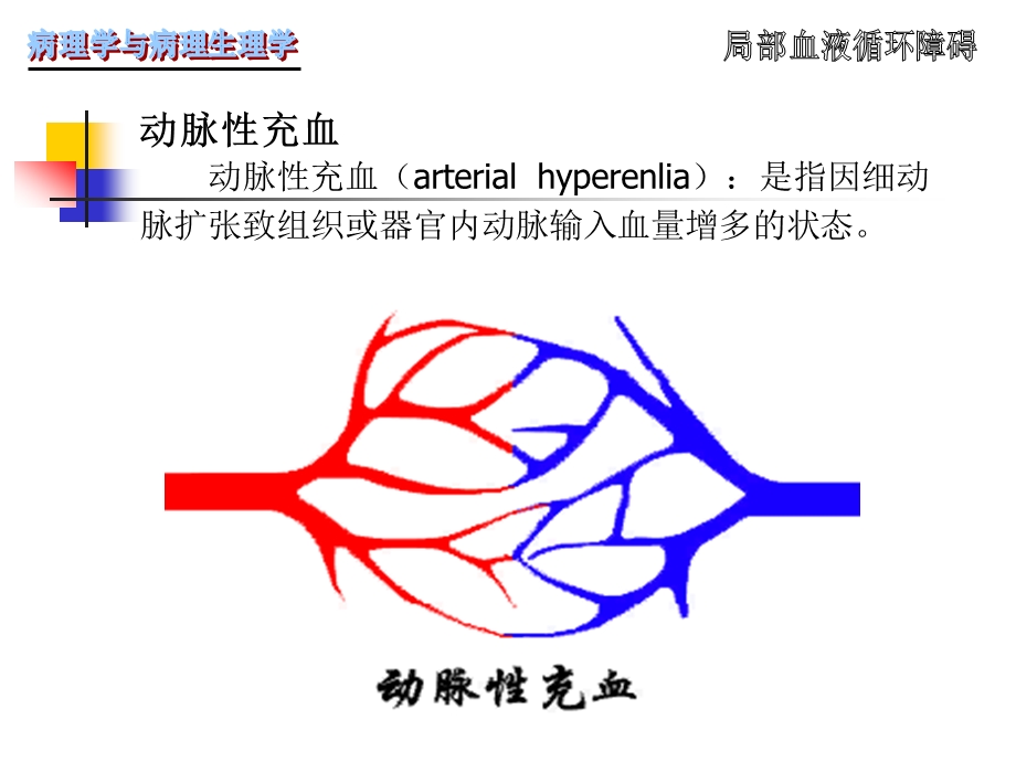 第二章 局部血液循环障碍ppt课件.ppt_第3页