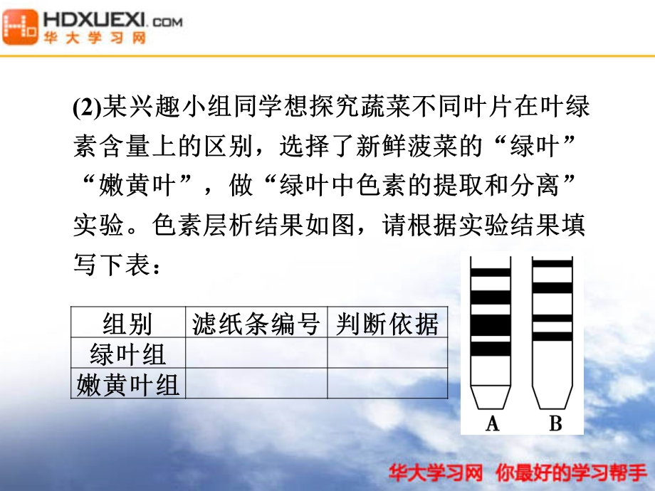 某兴趣小组同学想探究蔬菜不同叶片在叶绿 素含量上的区别选择 课件.ppt_第1页