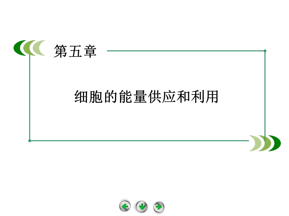 能量之源光与光合作用 ppt课件（人教版必修1）.ppt_第1页