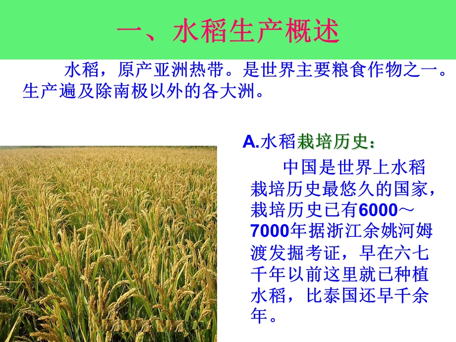 优质稻保优高产高效栽培技术课件.ppt_第3页