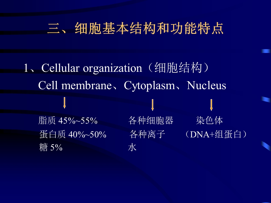 上皮组织皮肤课件.ppt_第2页