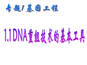 人教版生物选修3专题1 1.1 DNA重组技术的基本工具 ppt课件.ppt