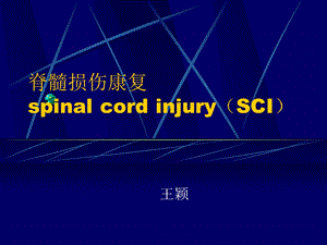 脊髓损伤康复spinal cord injury(SCI)课件.ppt