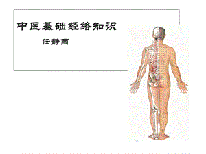 中医基础经络知识课件.ppt