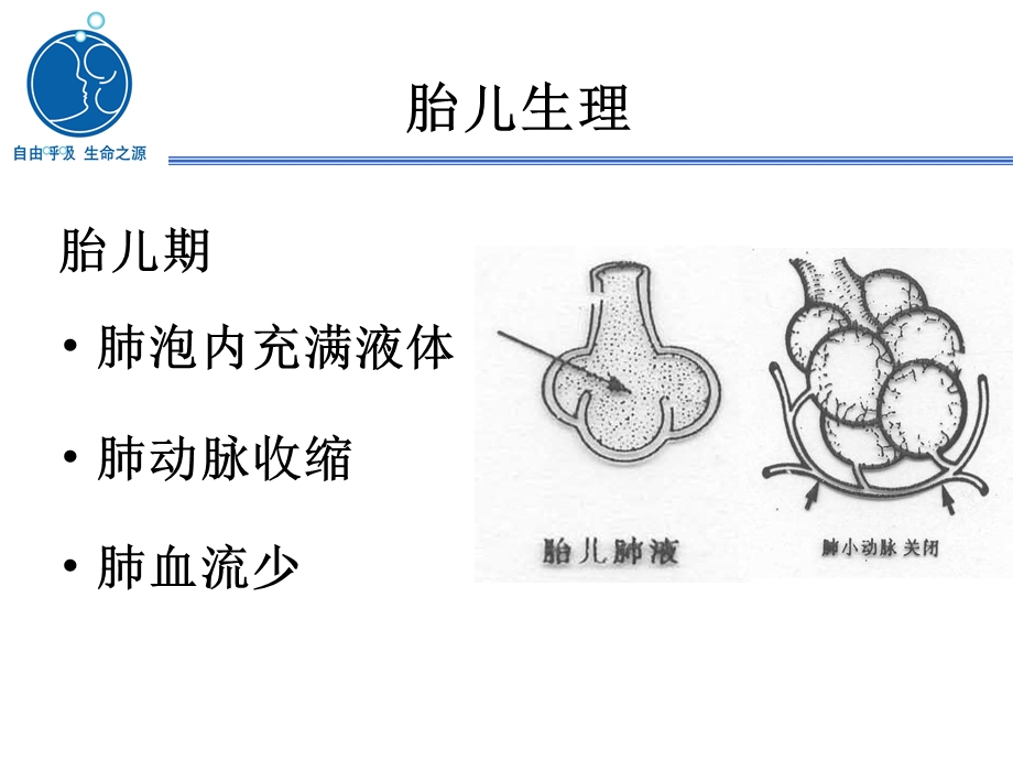 2017.07.28新生儿心肺复苏更新指南解读课件.ppt_第2页