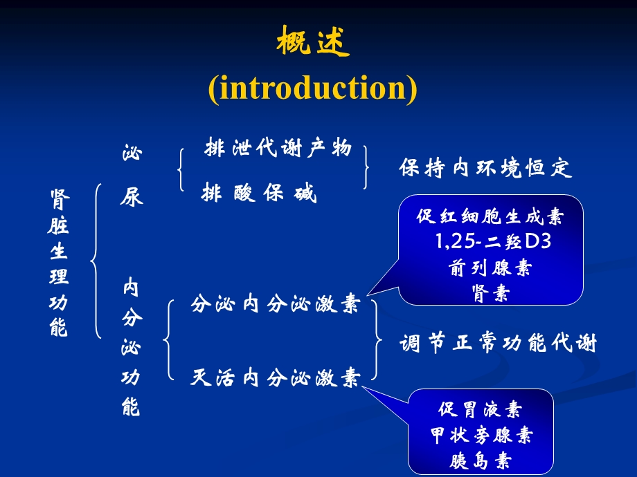 -第十四章 肾功能不全-护理学大学PPT课件.ppt_第2页