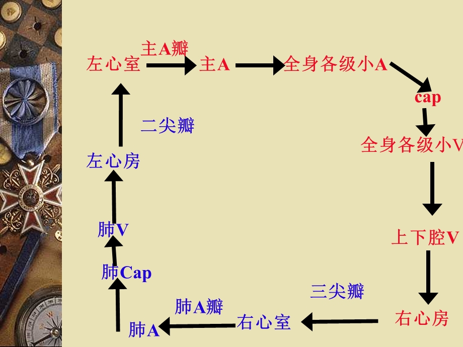 《病理学》课程教学ppt课件 第三章 局部血液循环障碍.ppt_第3页