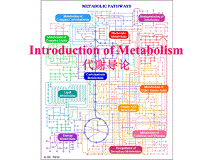 代谢的研究水平课件.ppt