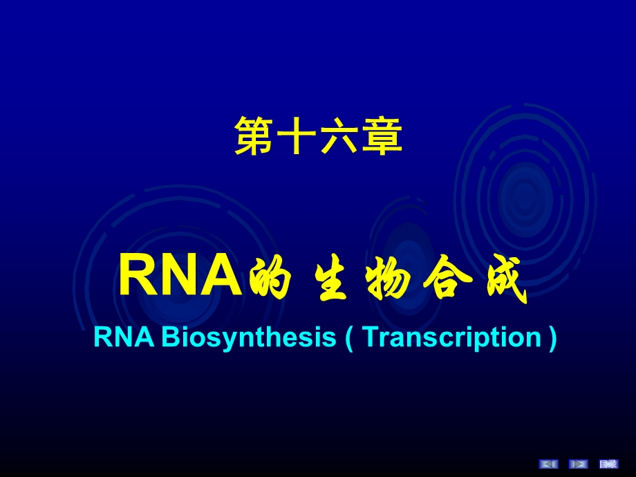 人卫8版-RNA的生物合成课件.ppt_第2页