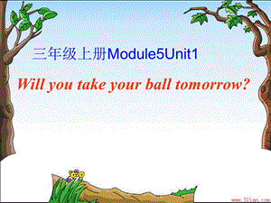 三年级英语下册Module5Unit1《Willyoutakeyourballtomorrow》-ppt课件(新版)外研版(一起).ppt