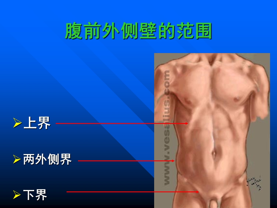 腹部切口和腹部手术课件.ppt_第3页