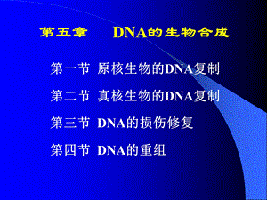 第五章DNA生物合成课件.ppt