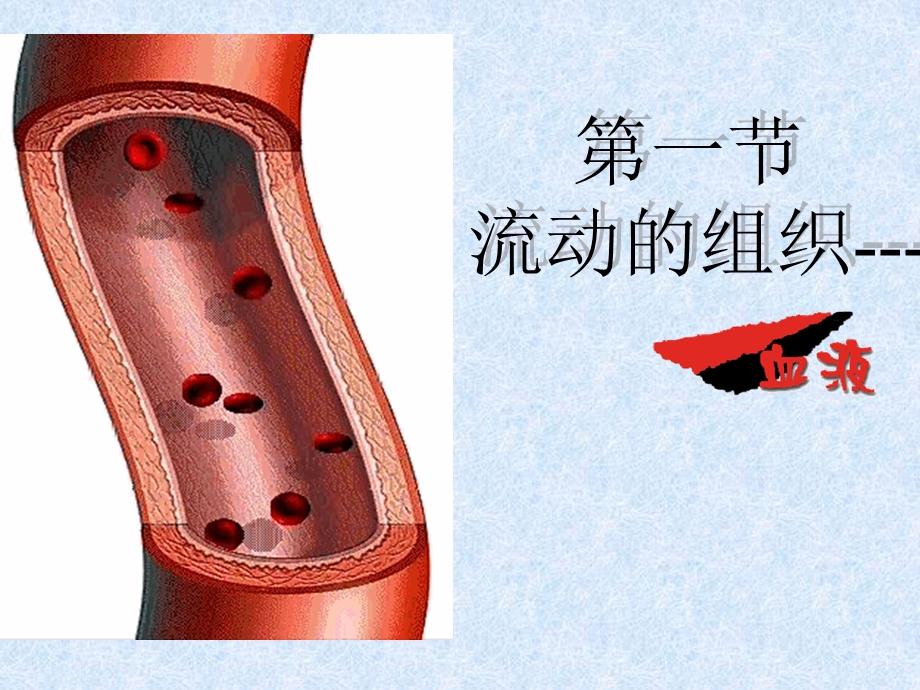 RWY41流动的组织血液课件.ppt_第3页