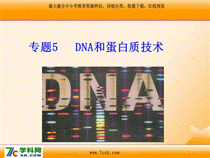 人教版生物选修一专题5《DNA和蛋白质技术》课件.ppt