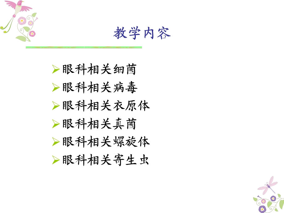 眼科相关病原体概述方案课件.ppt_第2页