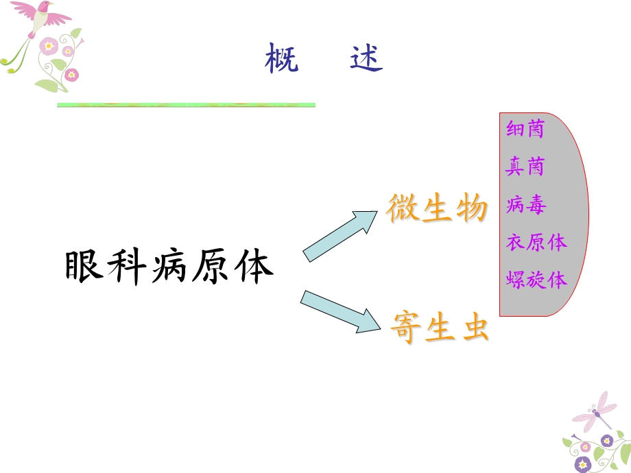 眼科相关病原体概述方案课件.ppt_第3页