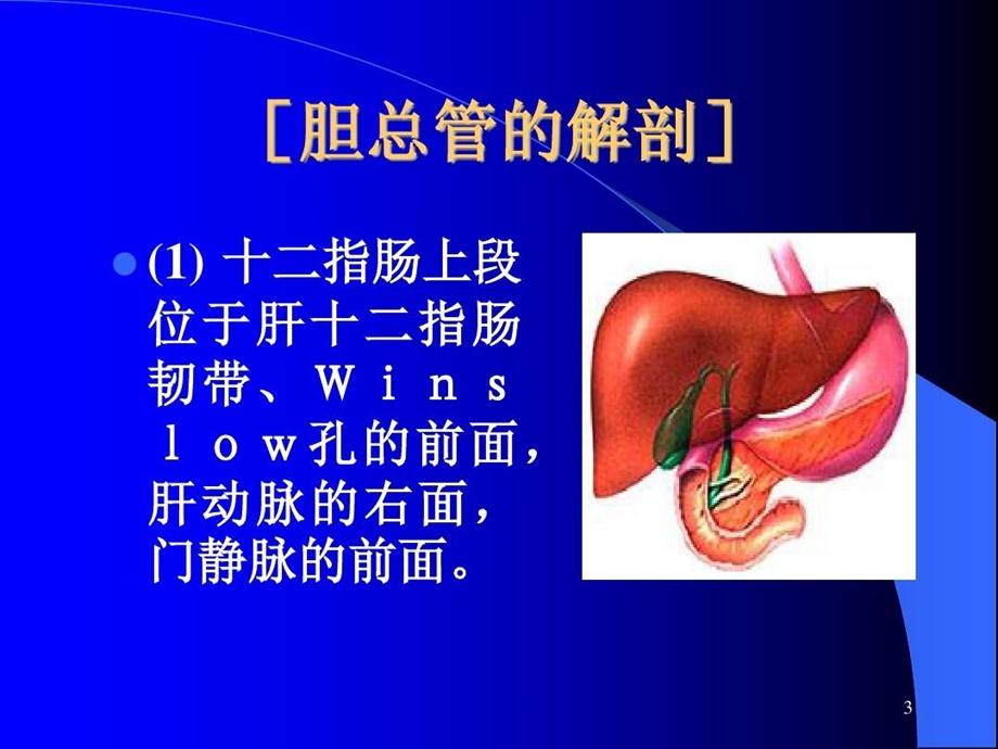 腹腔镜胆总管探查术PPT参考幻灯片课件.ppt_第3页