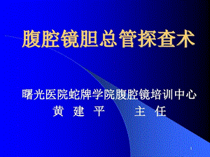 腹腔镜胆总管探查术PPT参考幻灯片课件.ppt