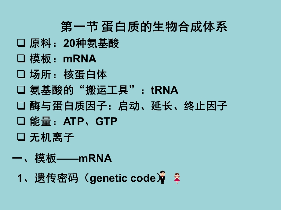 北京大学生物化学ppt课件第十二章-蛋白质的合成.pptx_第3页