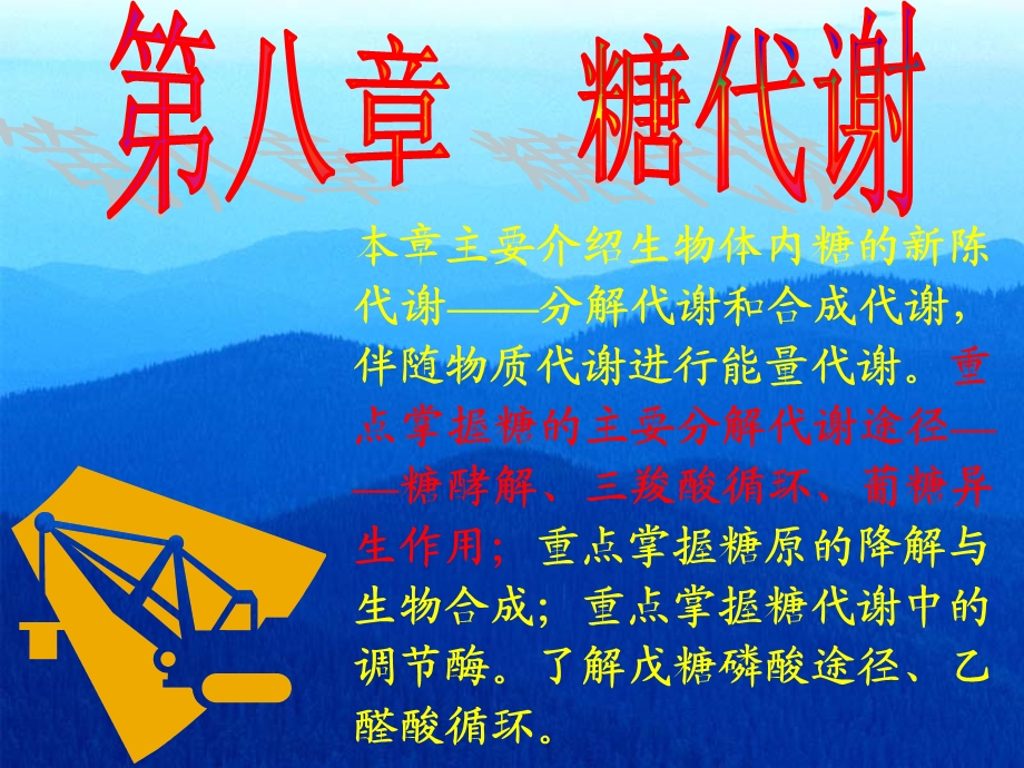 生物化学课件——糖代谢.ppt_第2页