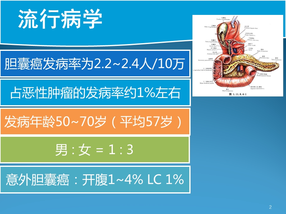 胆囊癌诊疗进展医学ppt课件.ppt_第2页