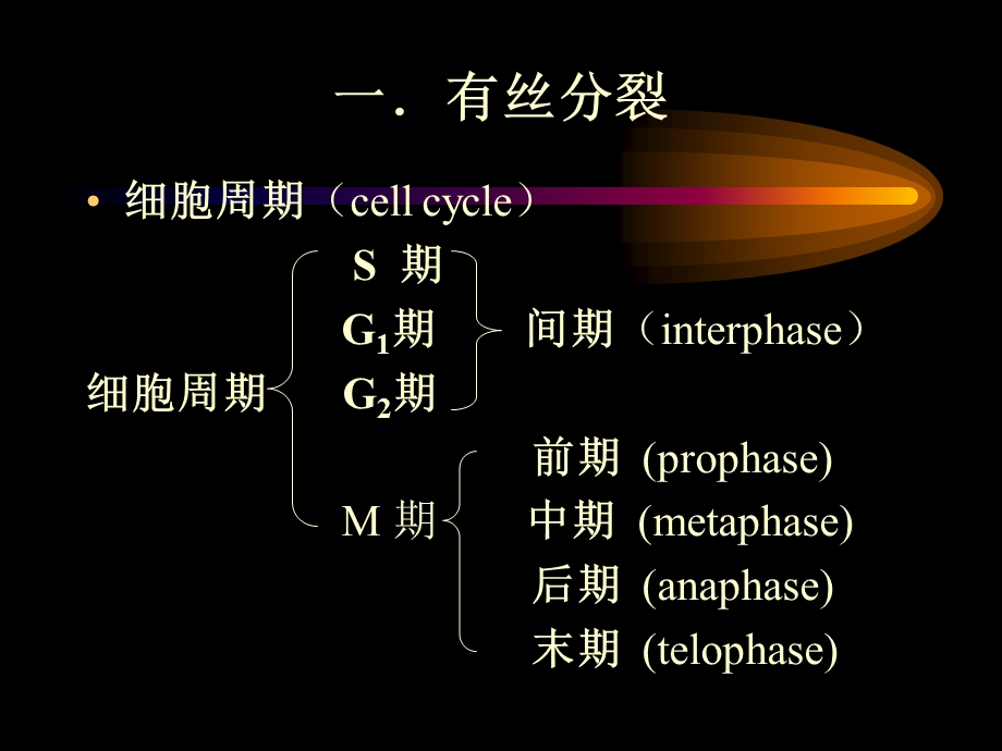 遗传的染色体学说课件.ppt_第2页