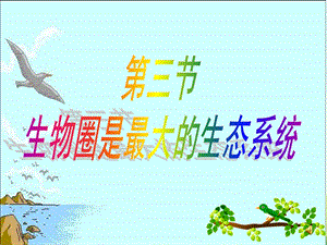 新版《生物圈是最大生态系统》ppt课件.ppt