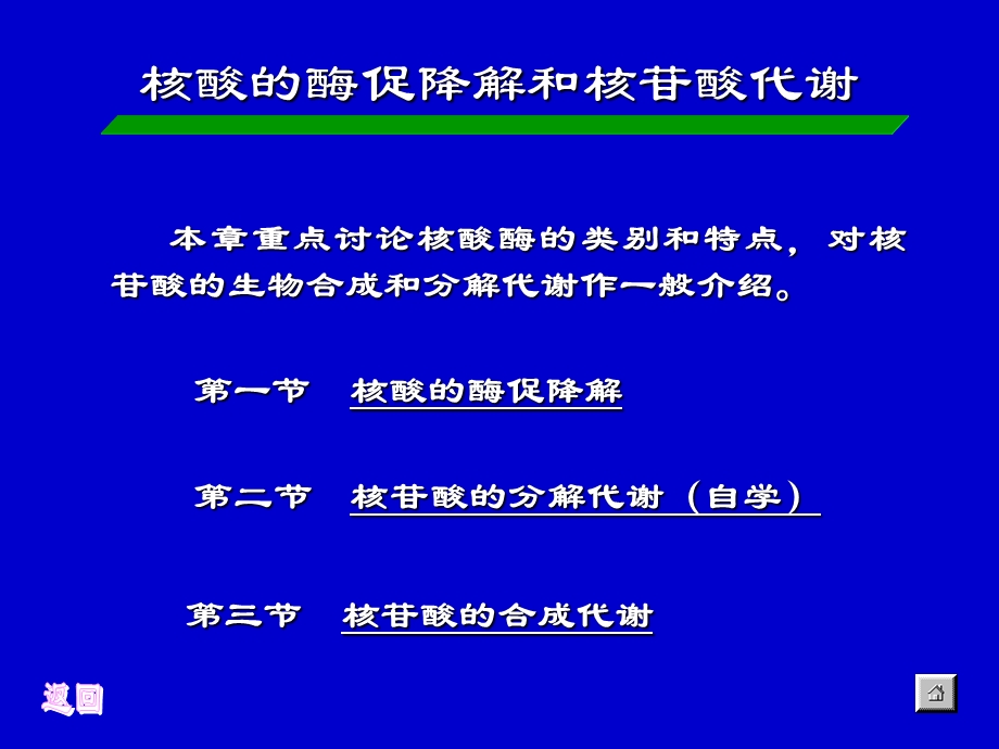 第八章核酸酶促降解及核苷酸代谢课件.ppt_第1页