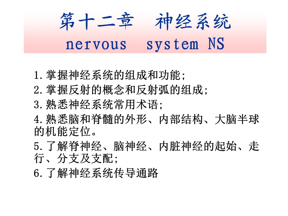 第12章神经系统课件.ppt_第1页