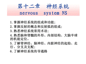 第12章神经系统课件.ppt