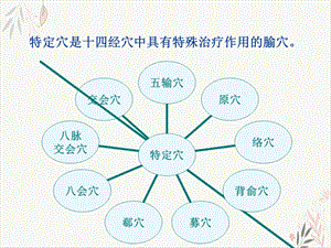 特定穴的临床应用ppt课件.pptx