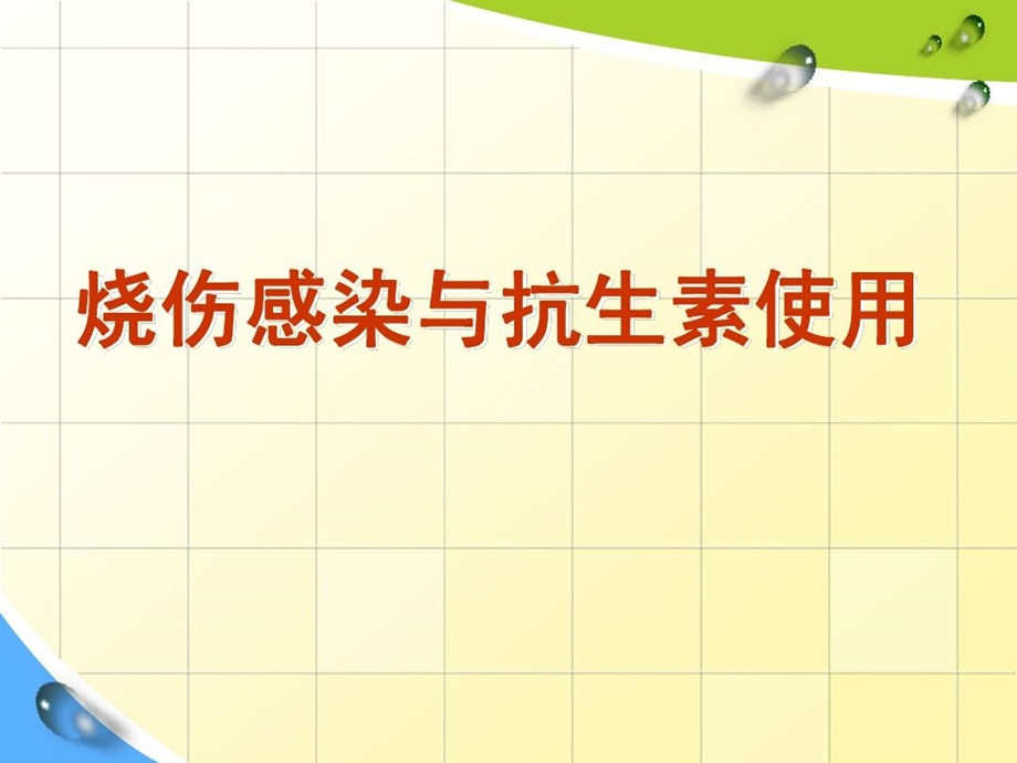 烧伤感染与抗生素使用课件.ppt_第2页