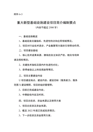 重大新型基础设施建设项目简介编制要点.docx