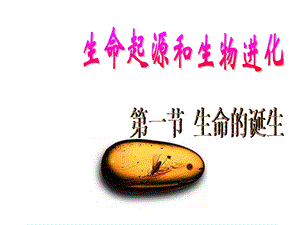 生命的诞生ppt课件.ppt