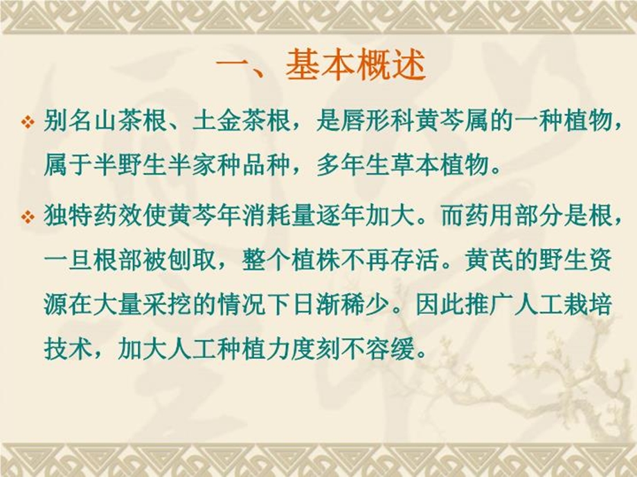 黄芩的栽培技术课件.ppt_第3页