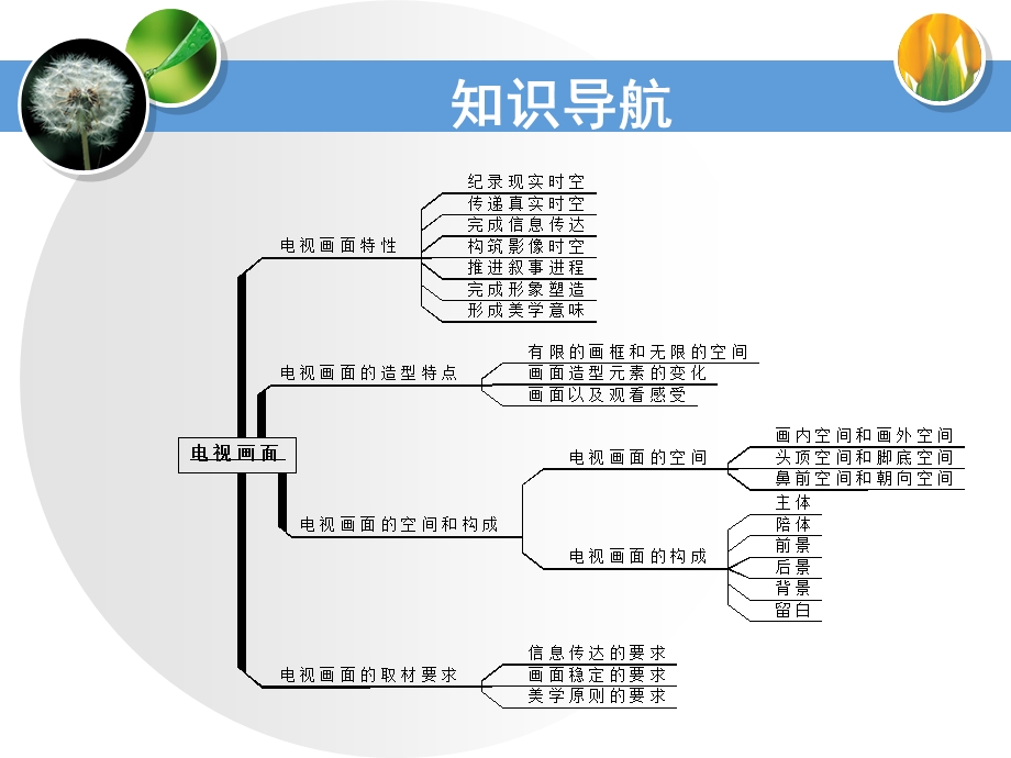 电视摄像与画面编辑第1章课件.ppt_第2页