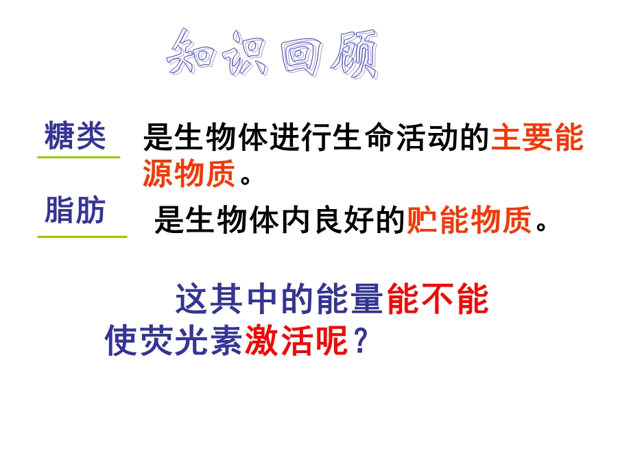 腺嘌呤核糖腺苷A磷酸基团课件.ppt_第3页