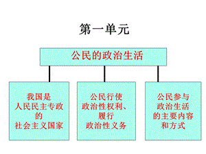 政治生活第一单元复习课件.pptx