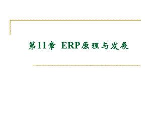 第十一章-ERP原理与发展方案课件.ppt