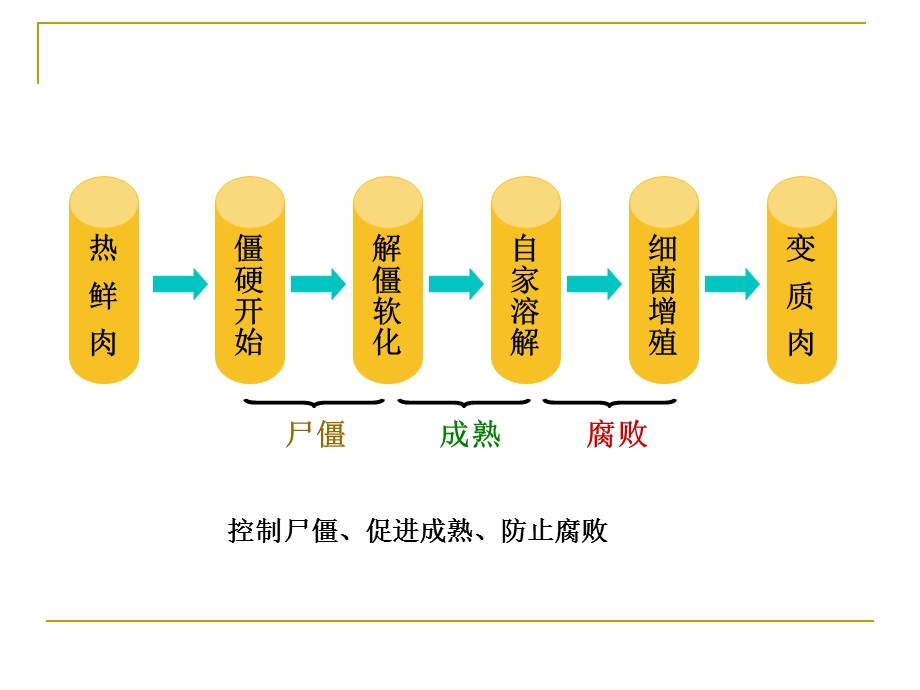 附2：肌肉宰后变化课件.ppt_第2页