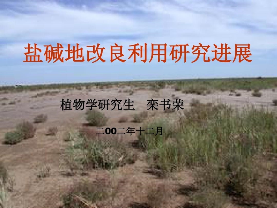 盐碱地改良利用研究进展课件.ppt_第2页