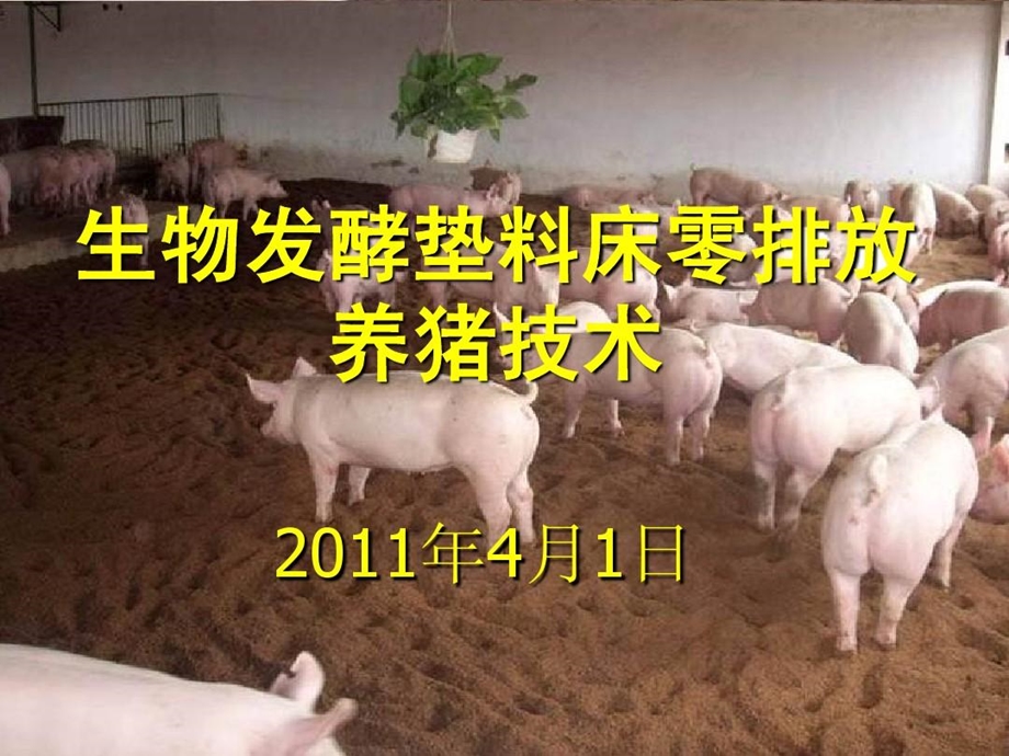 生物发酵垫料床零排放养猪技术课件.ppt_第1页