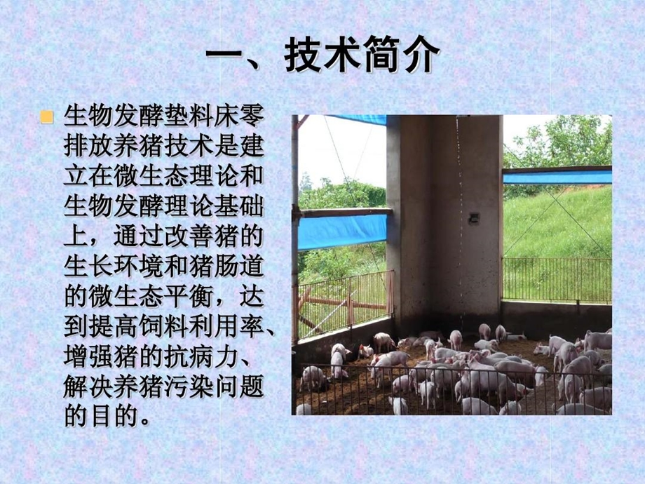 生物发酵垫料床零排放养猪技术课件.ppt_第2页